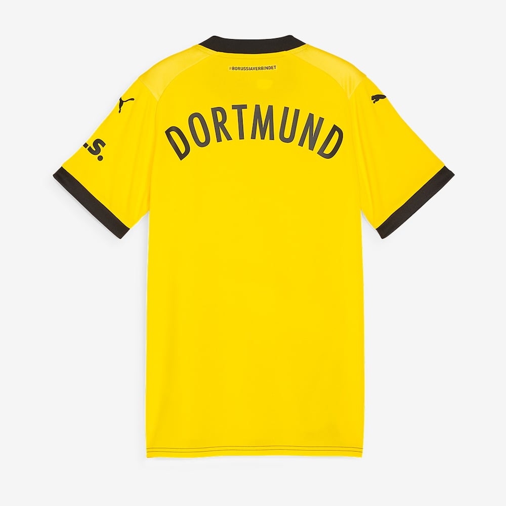 borussia dortmund 23/24