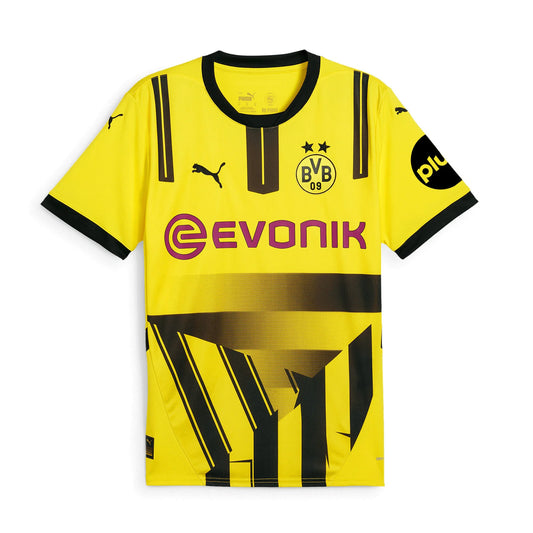 borussia dortmund 24/25
